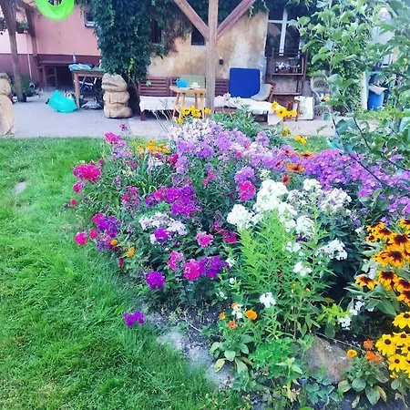 In The Blooming Garden - Green Apartment Apartment *